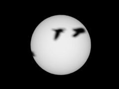 太陽　12月18日　ハトが飛んだ。