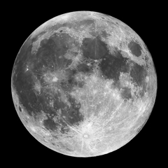 月　11月19日