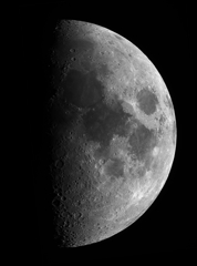 月　1月10日　月齢７．４　上弦の月