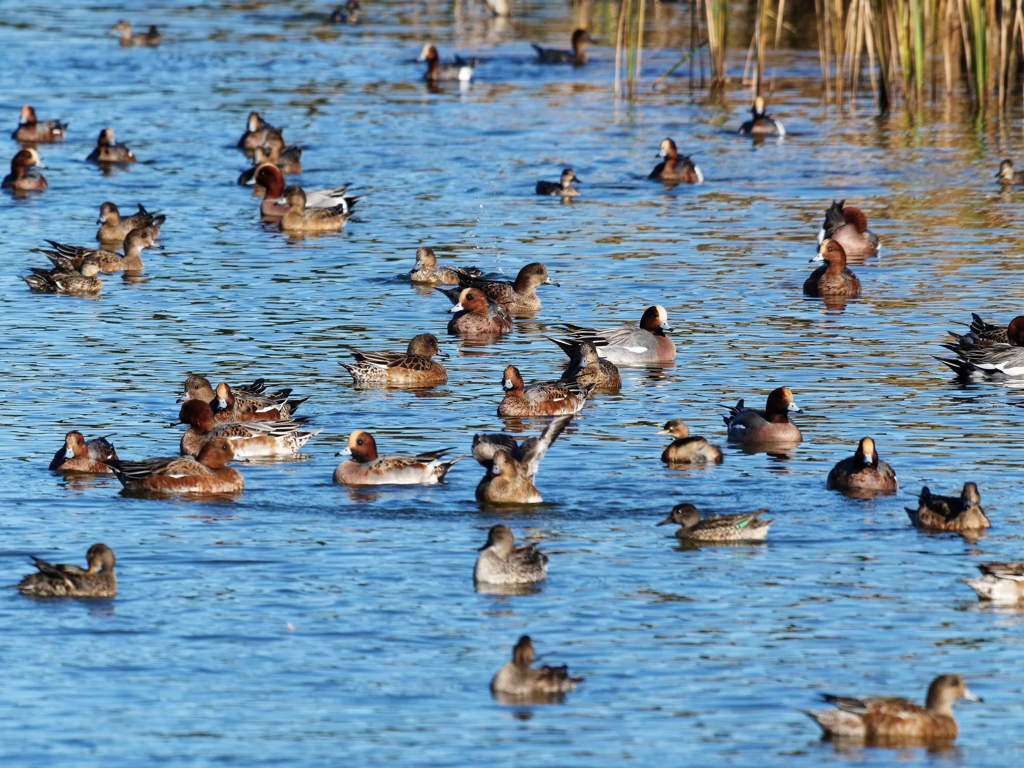 込み合ってまーす！