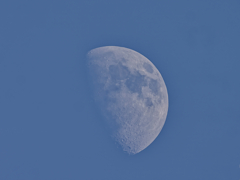 昼間の月　2月21日　１５：０８