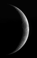 月　２月１５日