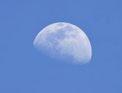 昼間の月　１５：２０