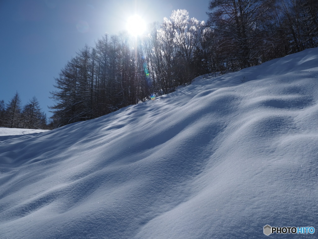 雪の斜面