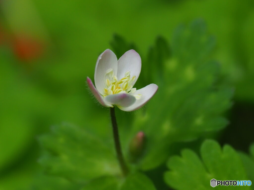 今年は早いね(^_^)