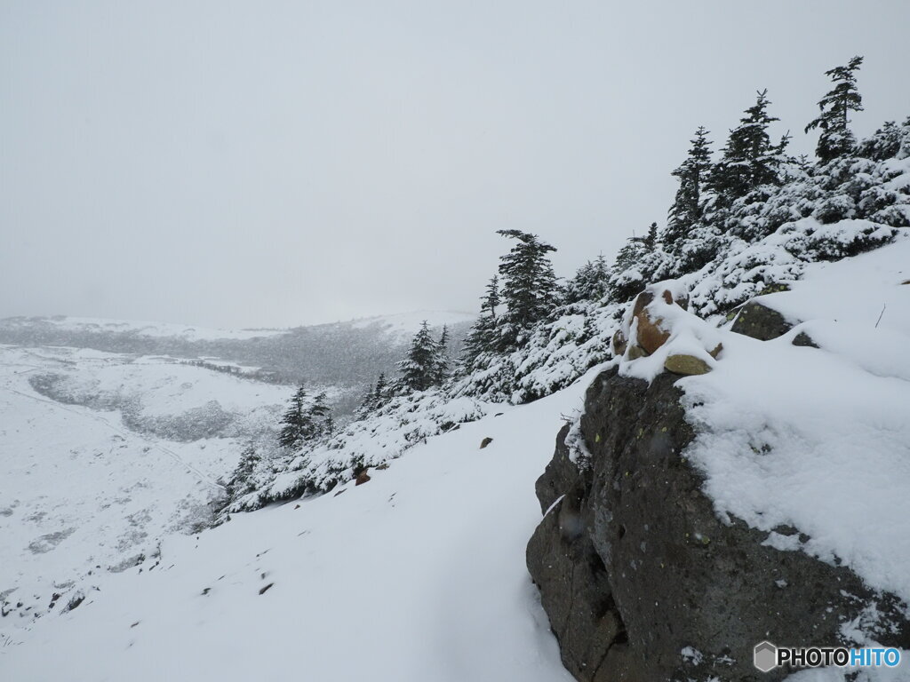 初雪登山