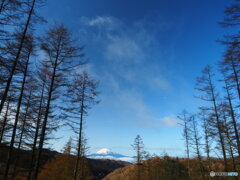 感動の富士山