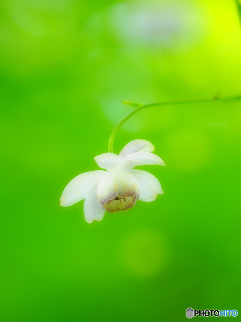 かわいい(^_^)