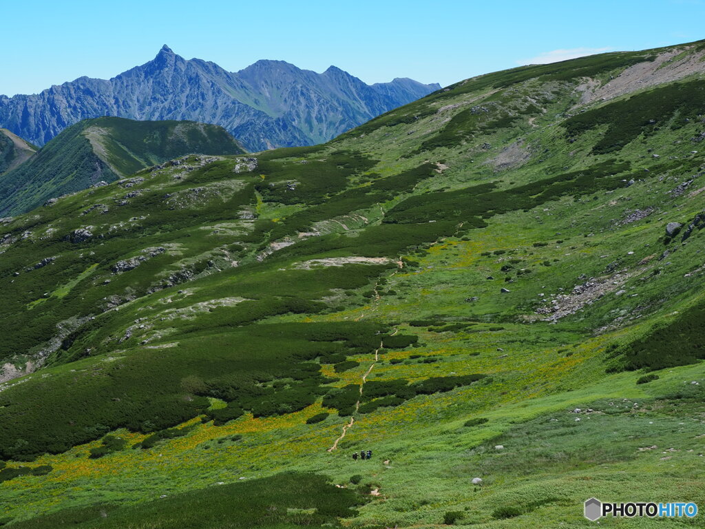 登山道は続くよ～♪　どこまでも～♪