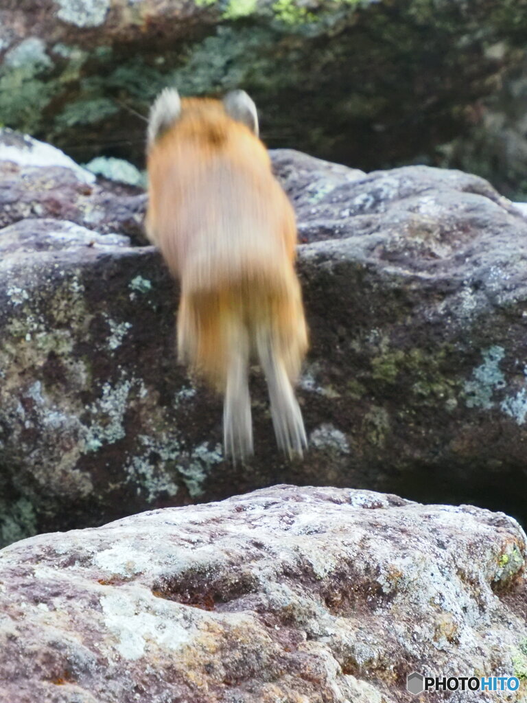 目がくりっくり　4