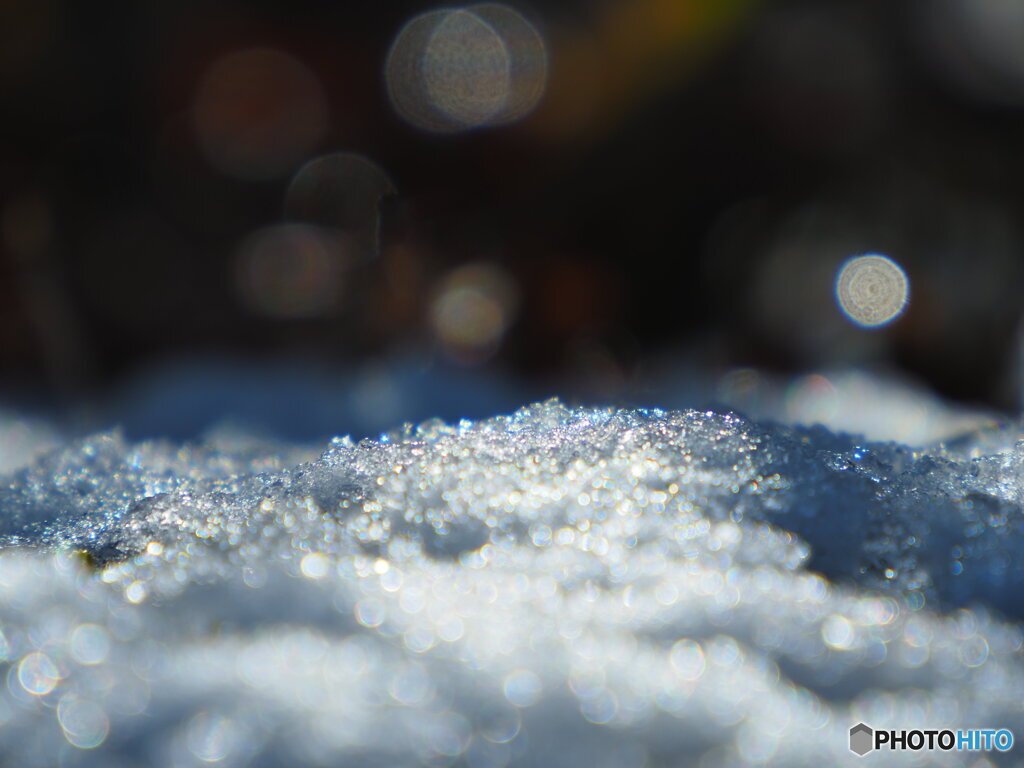 初雪