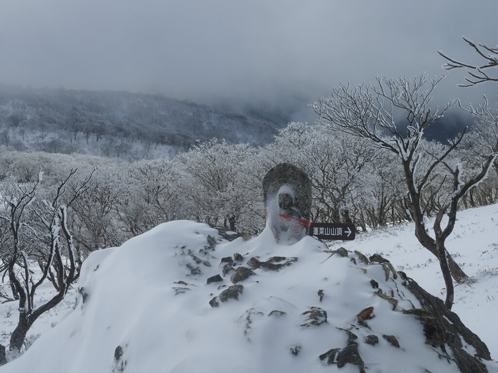 雪の中の道案内