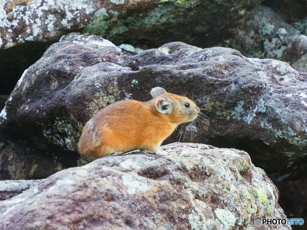 目がくりっくり　3