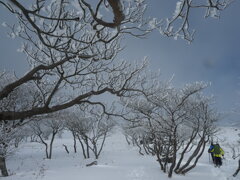 雪の恵み
