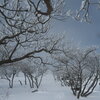 雪の恵み