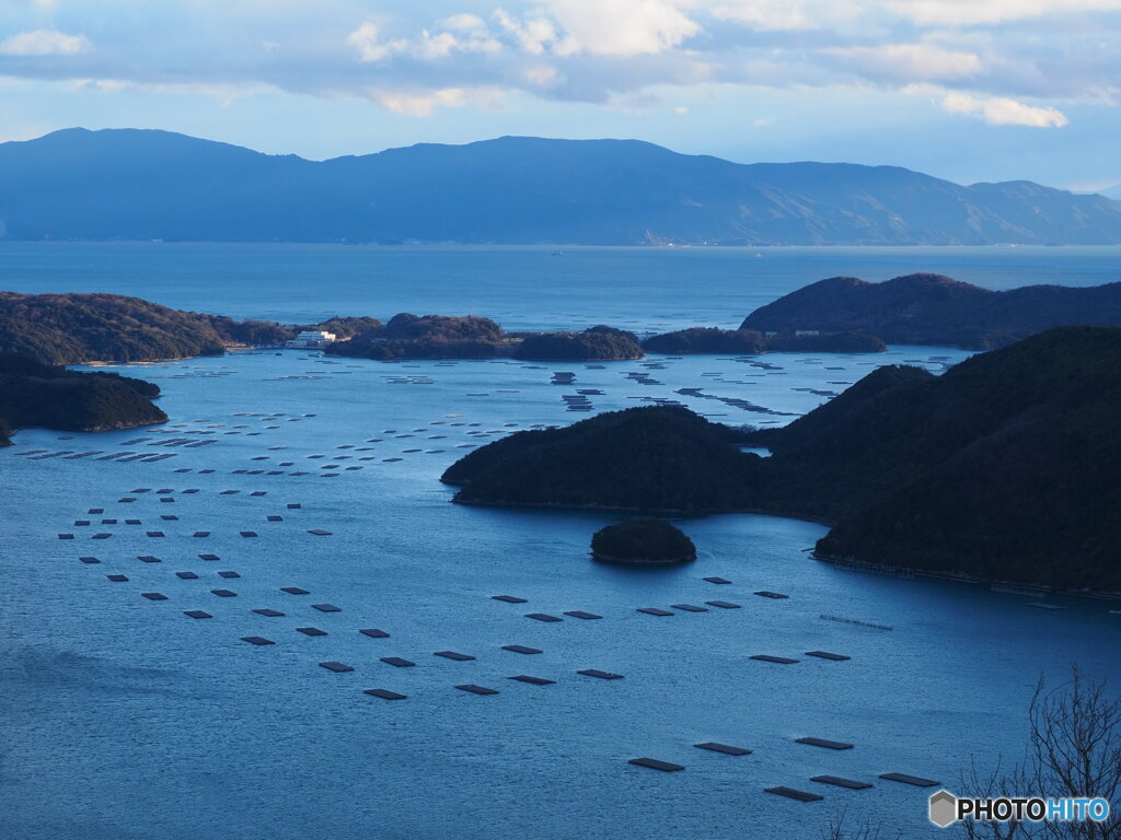 牡蠣の海