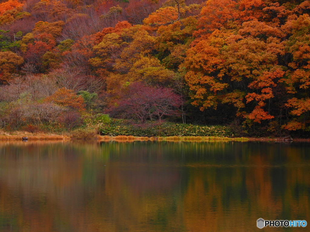 三瓶山・室の内池