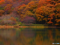 三瓶山・室の内池