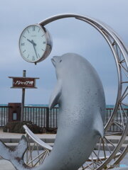 ノシャップ岬