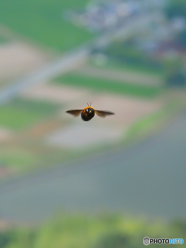空中散歩