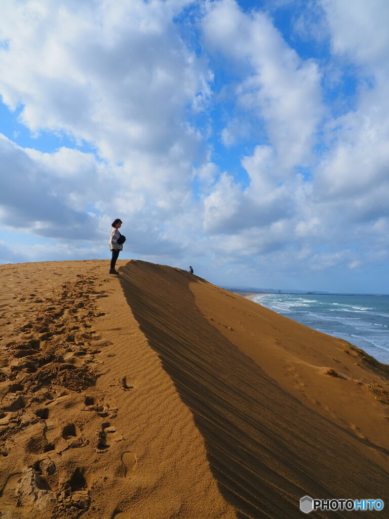砂丘に立つ