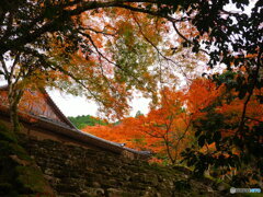 高源寺