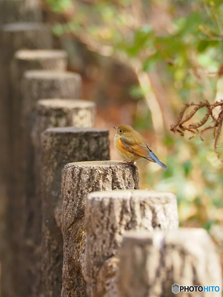 待っててくれたのね(^_^)