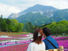 武甲山と芝桜2