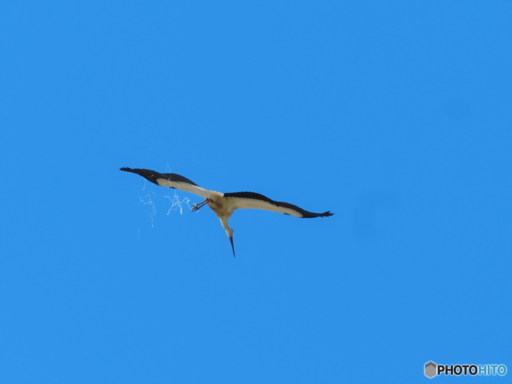 ゴメンナサイ！！