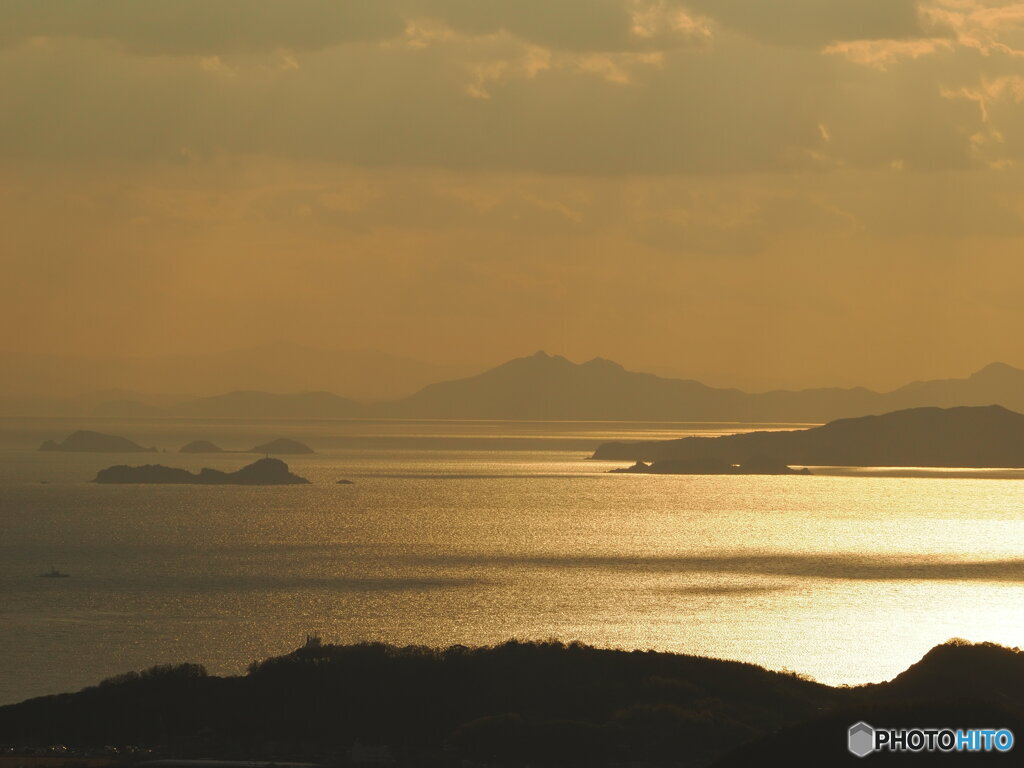 黄金色の海