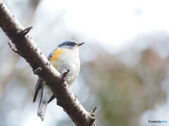 颯爽と．．．3