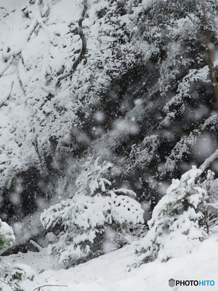 雪の千ヶ峰 3