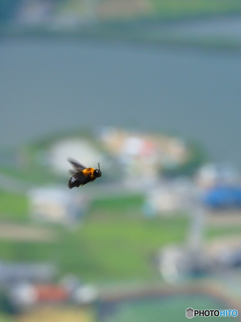 空中散歩2