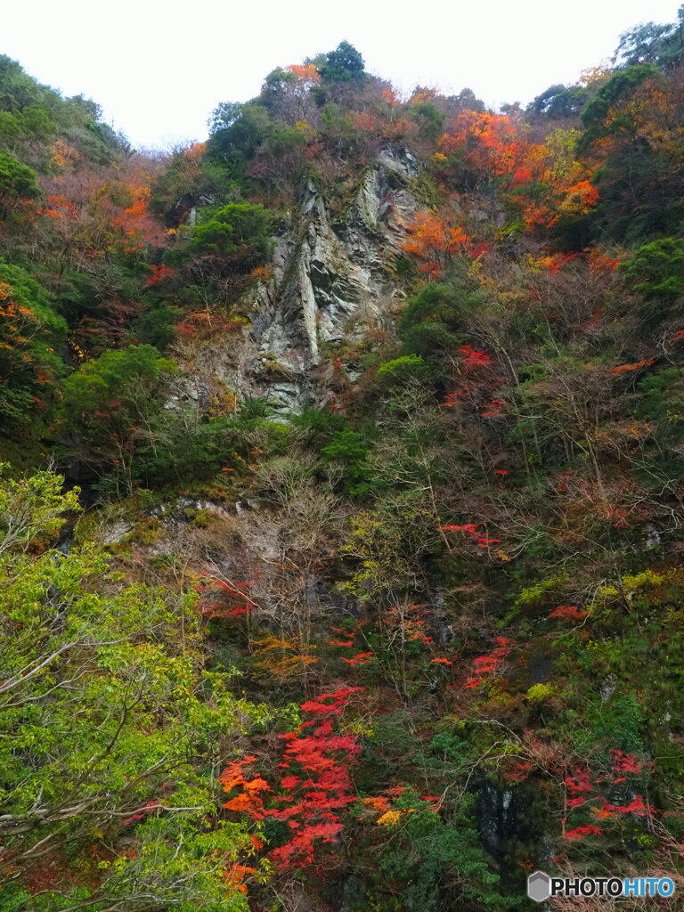 断崖の紅葉
