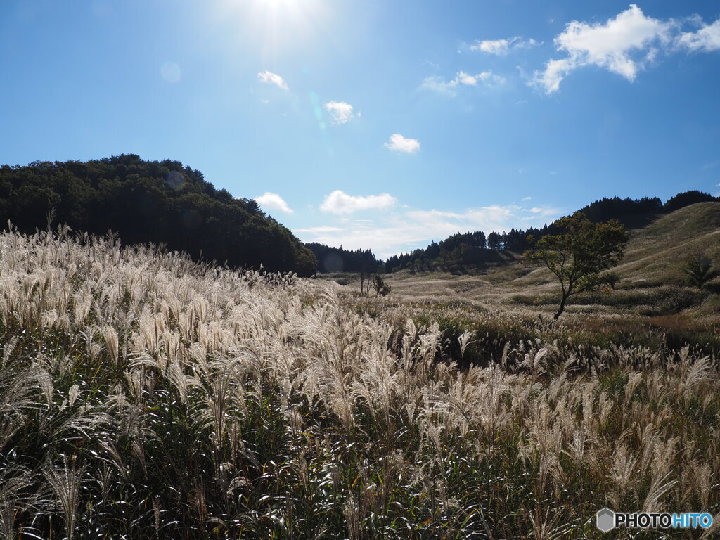 砥峰高原