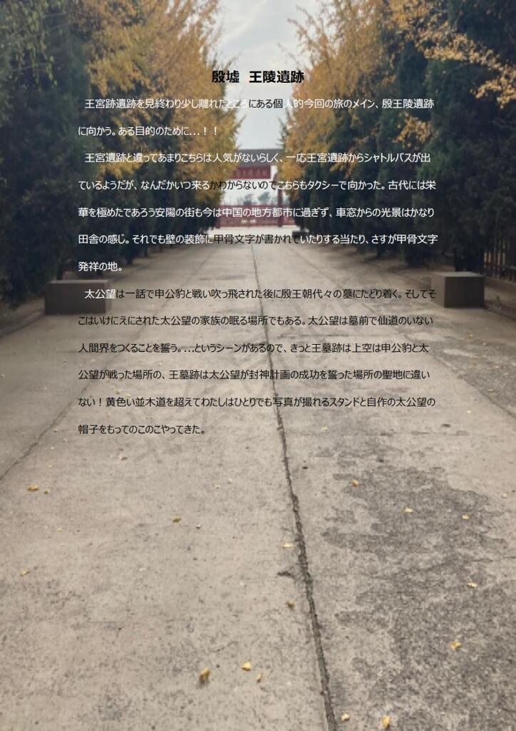Hitori Yinxu_18