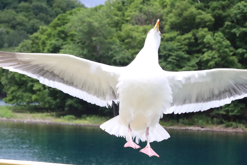 意外にもカメラ目線です