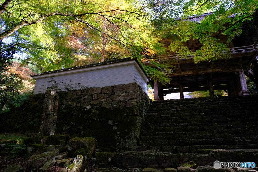 御寺の山門