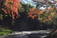 渓流に彩り