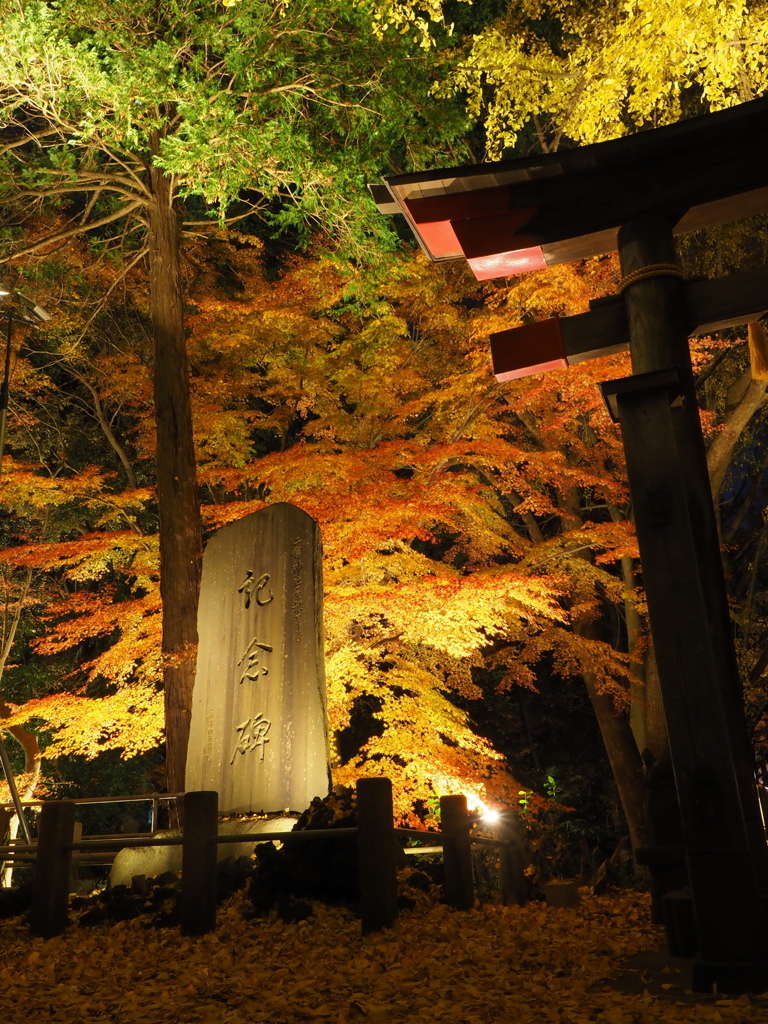 神社紅葉ライトアップ３