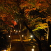 二宮神社紅葉03