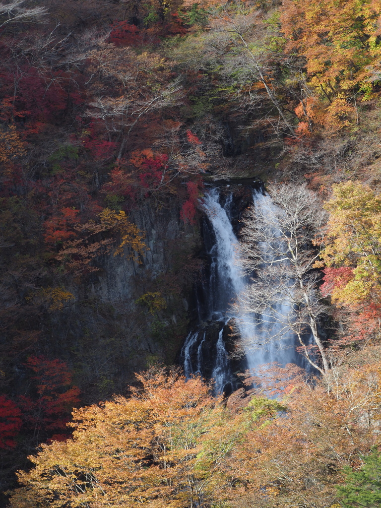 霧降の滝502
