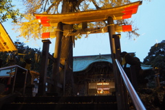 二宮神社紅葉01