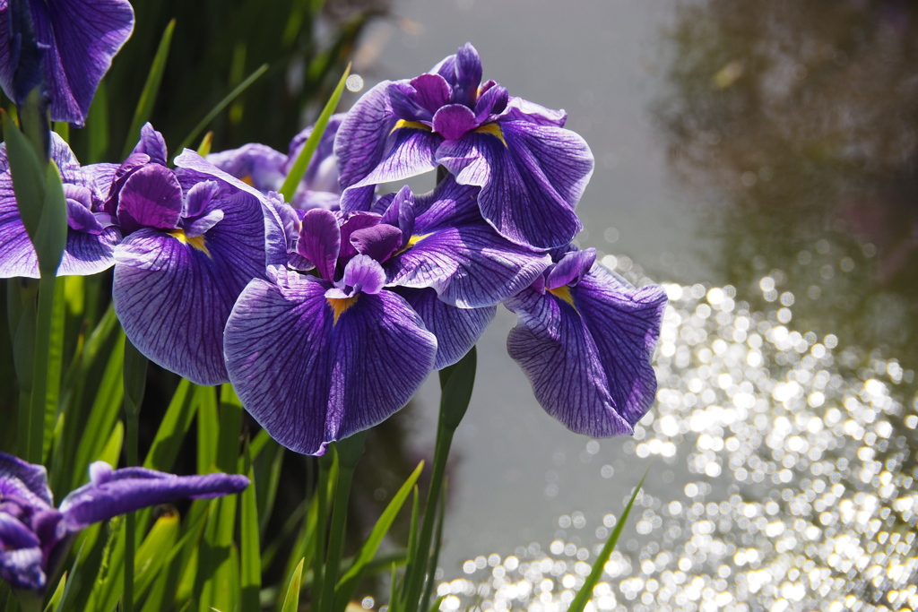 台風消えたらキッラ　キラ