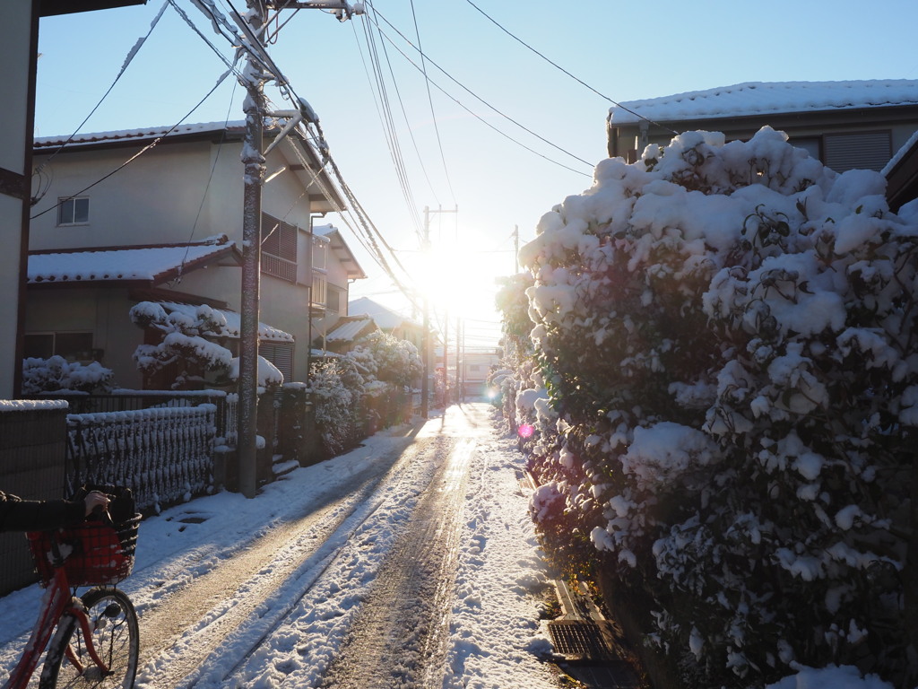 転ばぬように