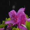 台風２号前線刺激