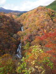 霧降の滝501