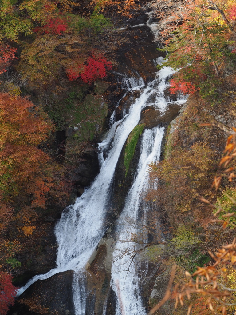 霧降の滝504