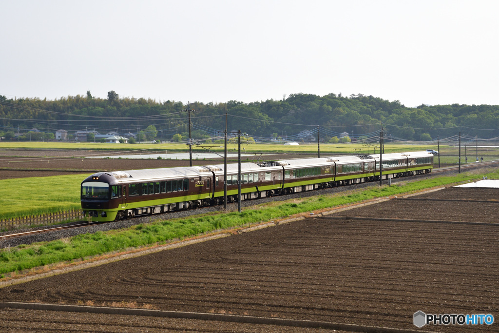 あしかが大藤まつり6号