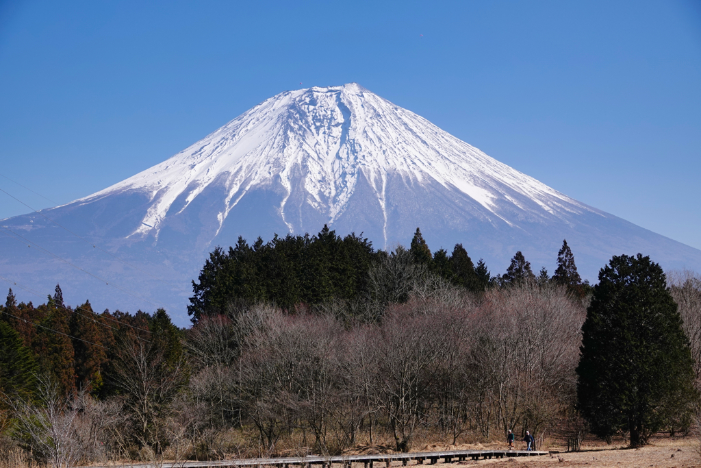 富士山頂でパラグライダー？！